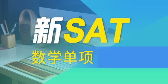 新SAT数学单项班